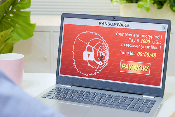 Ransomware graphic