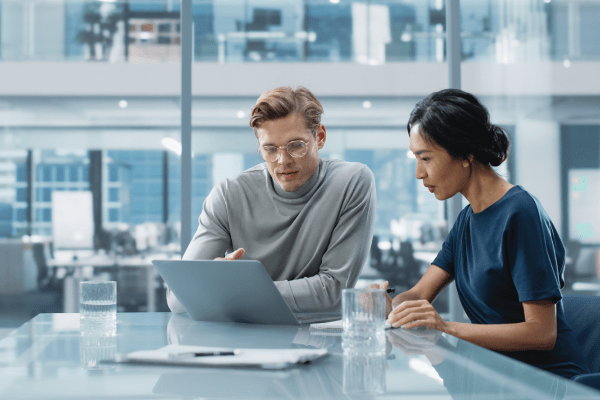 Expert advising client