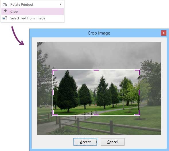image edit in onetastic