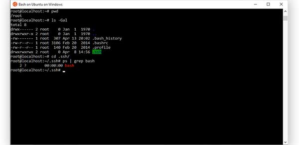 bash on ubuntu on windows command window