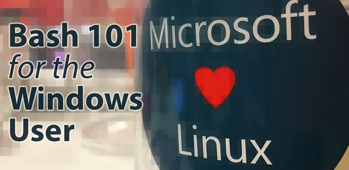 Bash 101 for the Windows User