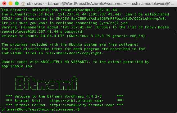 linux terminal screen