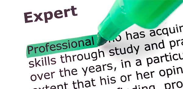 expert defined