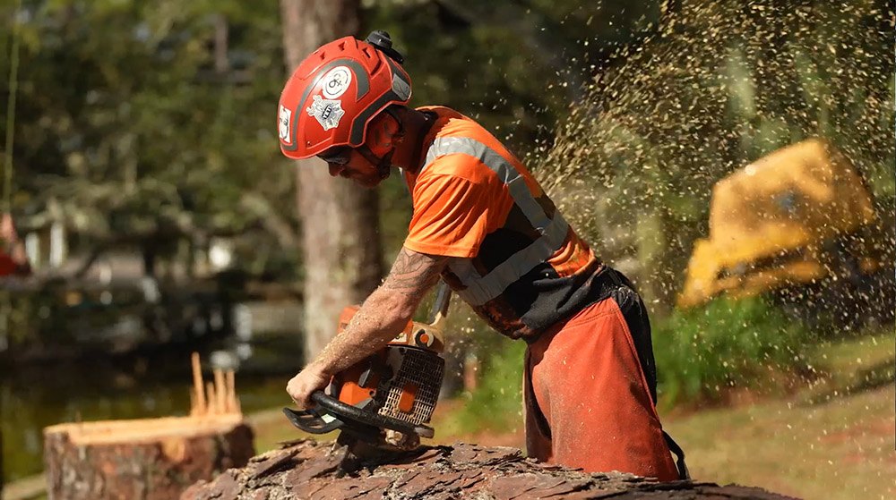 Backridge Worker